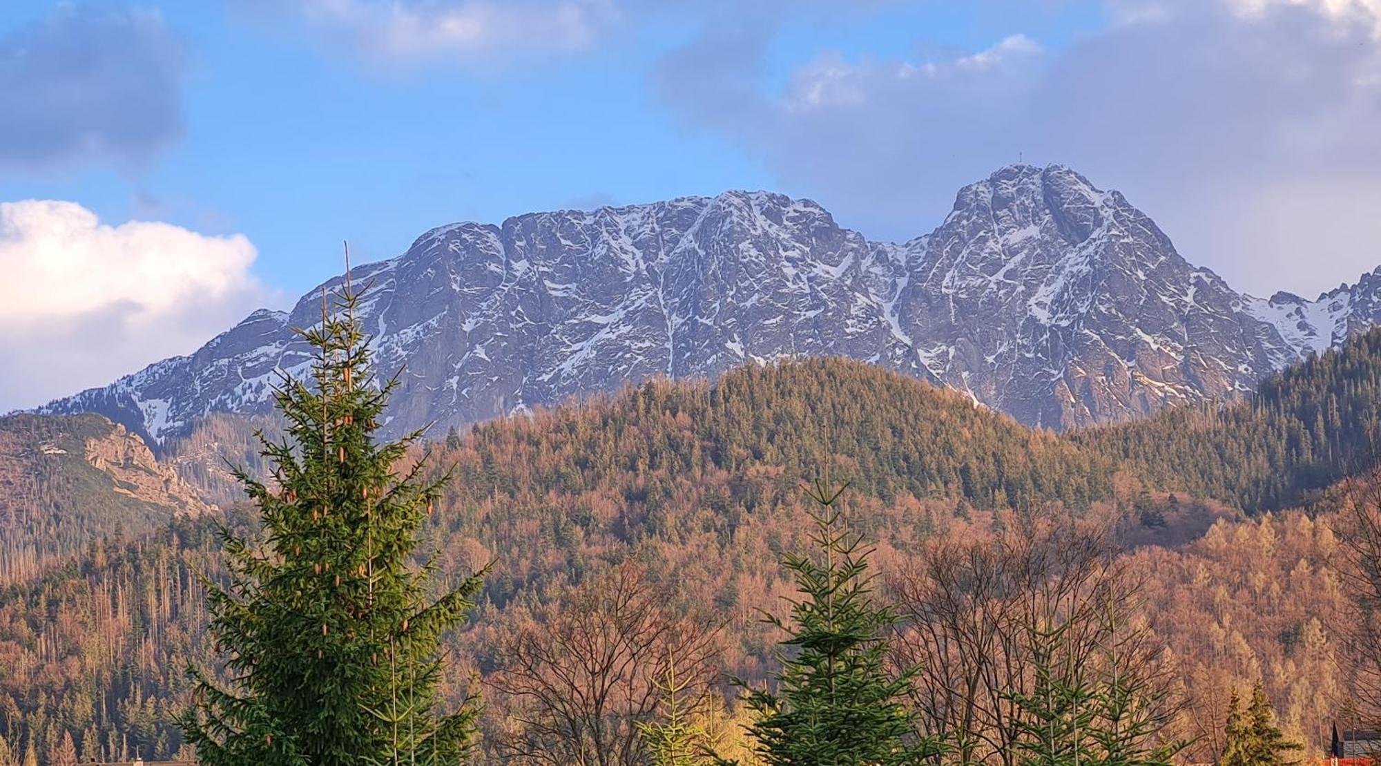 Apartamenty Convallis Koscielisko Luaran gambar